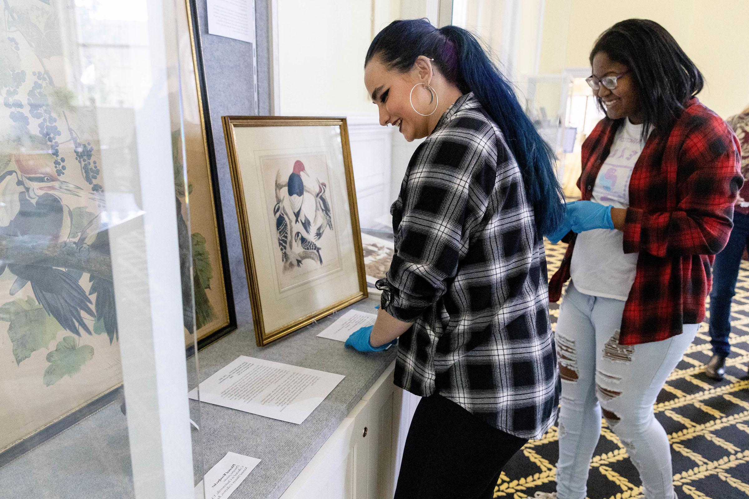 Students curating the Our Animal Nature exhibit.